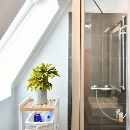 Altstadt Deluxe Appartamento Cottbus