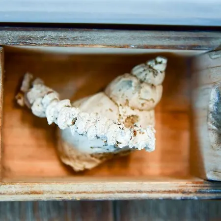 Altstadt Deluxe Appartamento