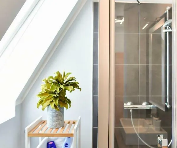 Altstadt Deluxe Apartament Chociebuż