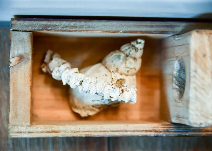 Altstadt Deluxe Apartament